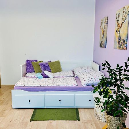 Garsonka Ve Dvore Dvůr Králové nad Labem Eksteriør bilde